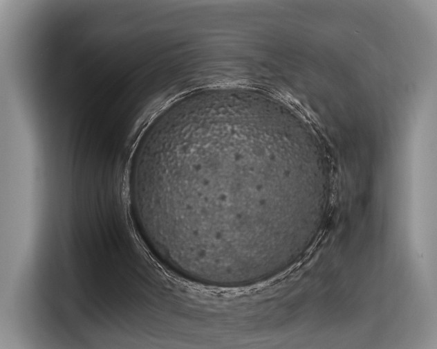 X0000115740002200911191454