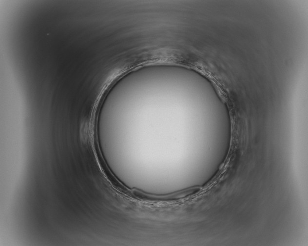 X0000115740003200911191454