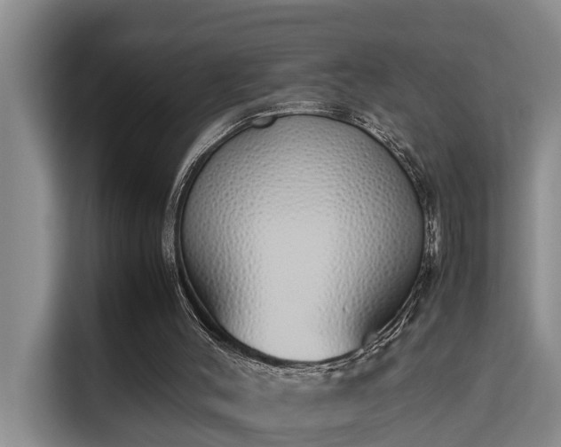 X0000115740004200911191454