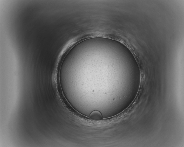 X0000115740006200911191454