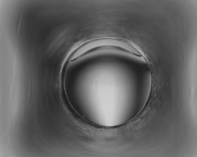 X0000115740008200911191454