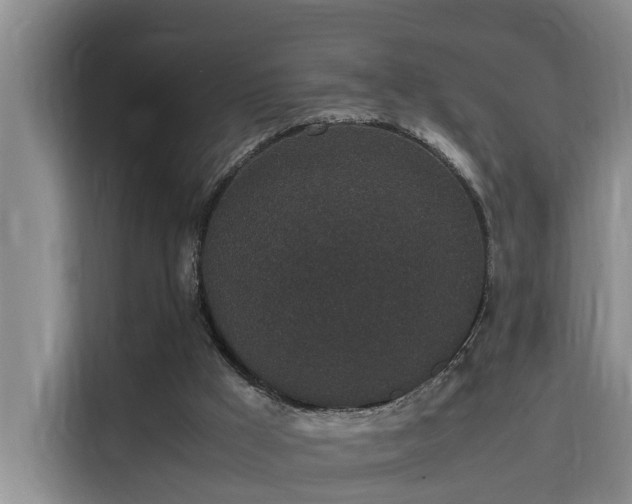 X0000115740009200911191454