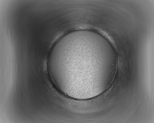 X0000115740010200911191454