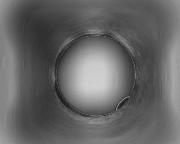 X0000115740011200911191454