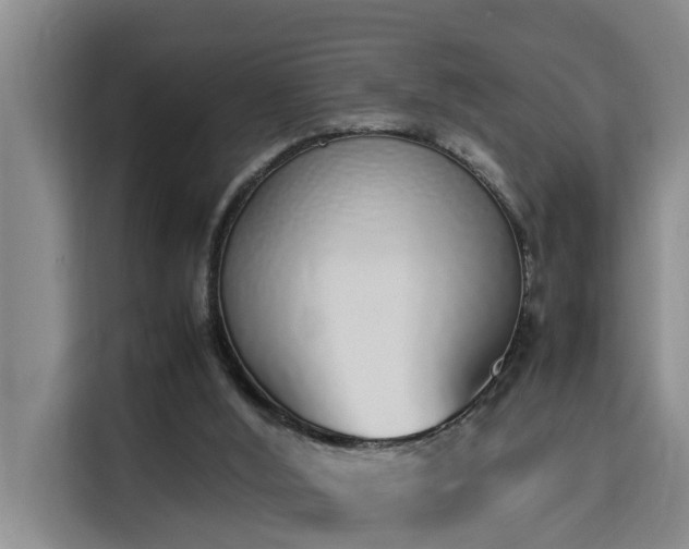 X0000115740012200911191454