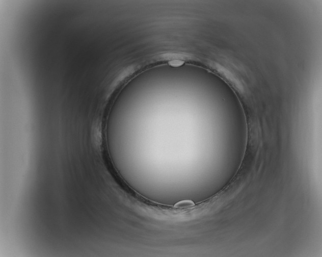 X0000115740015200911191454