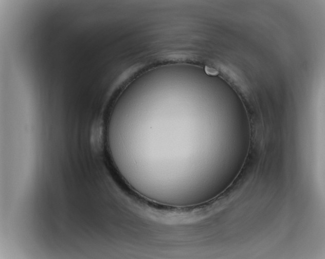 X0000115740016200911191454