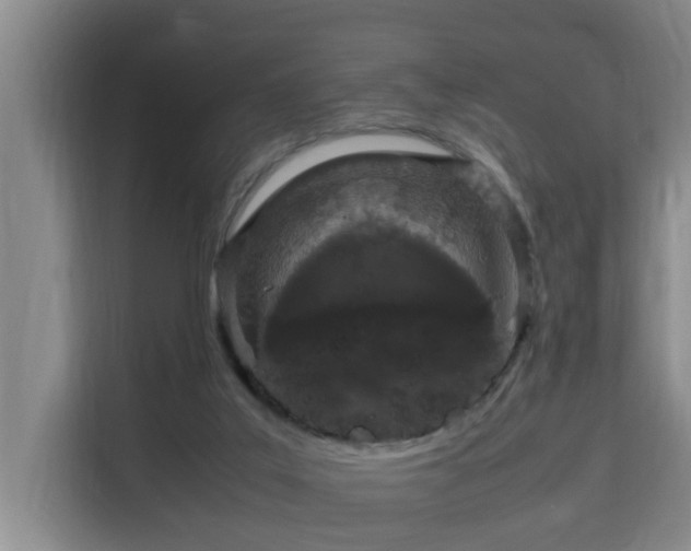 X0000115740019200911191454