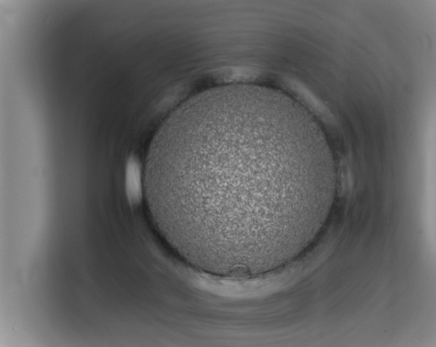 X0000115740022200911191454