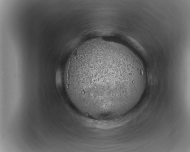 X0000115740026200911191454