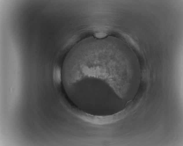 X0000115740027200911191454