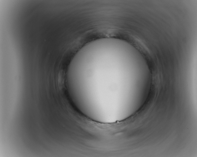 X0000115740030200911191454