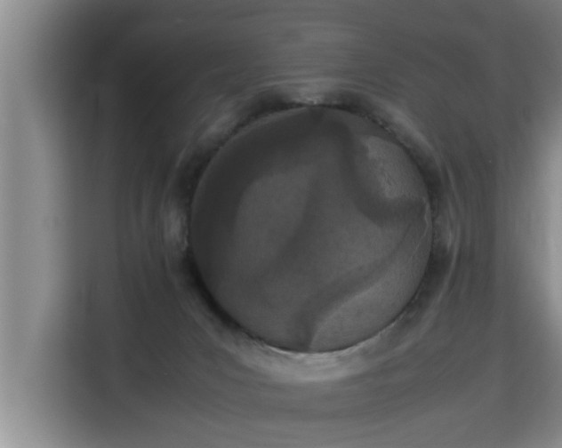 X0000115740031200911191454