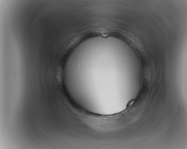 X0000115740036200911191454