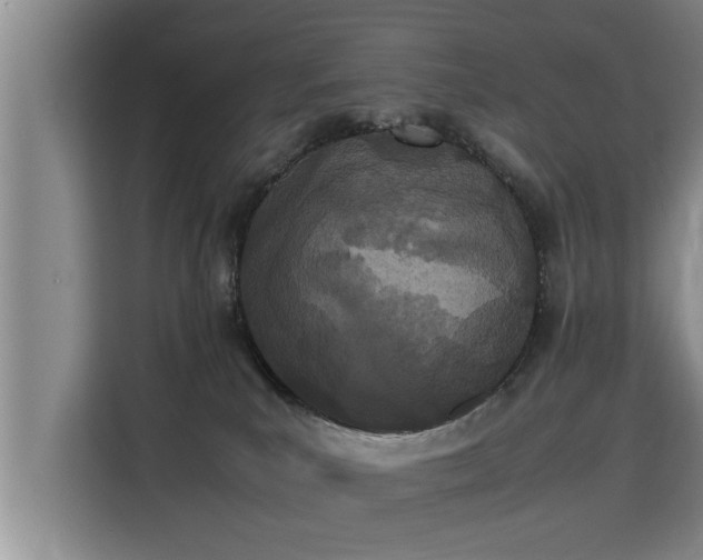 X0000115740039200911191454