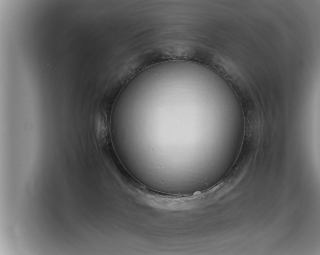 X0000115740040200911191454