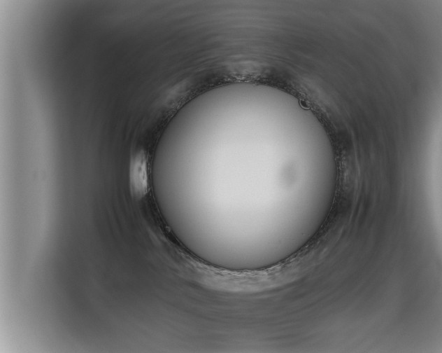 X0000115740042200911191454