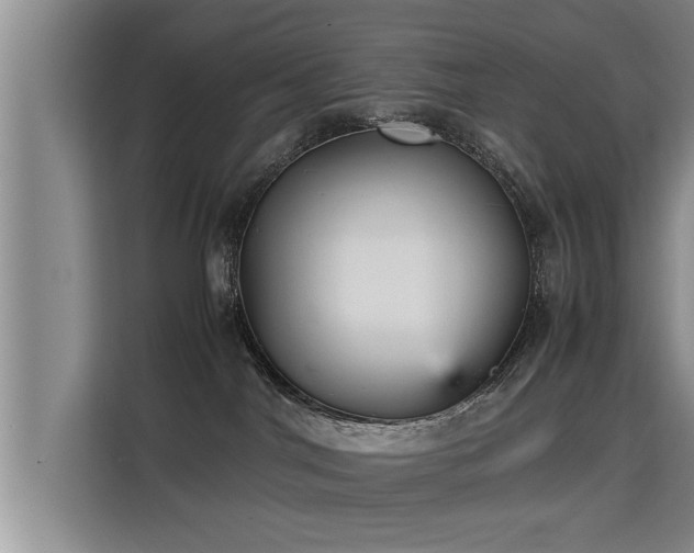 X0000115740044200911191454