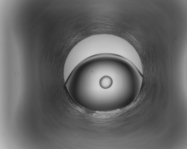 X0000115740045200911191454