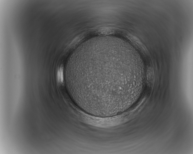 X0000115740046200911191454