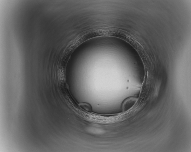 X0000115740048200911191454