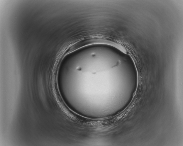 X0000115740049200911191453