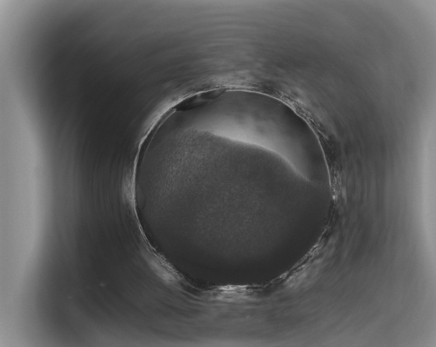 X0000115740052200911191453