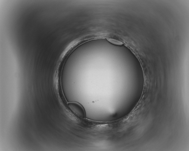 X0000115740054200911191453