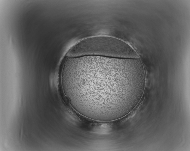 X0000115740056200911191453