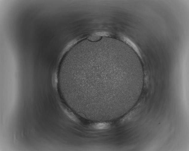 X0000115740059200911191453