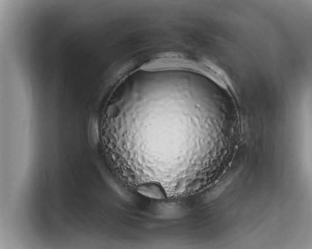 X0000115740061200911191453