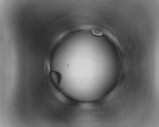 X0000115740062200911191453