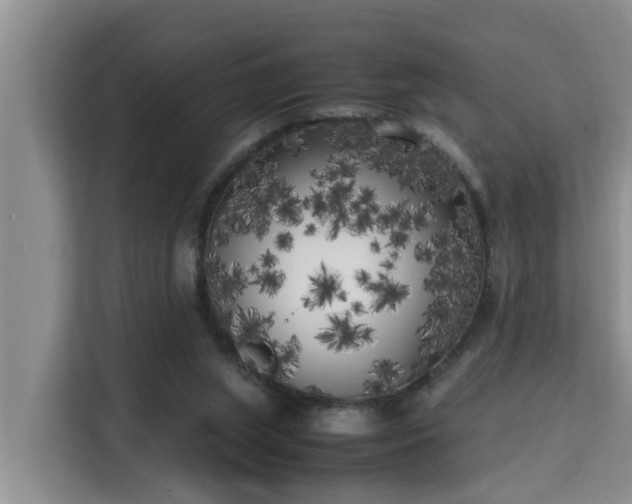 X0000115740063200911191453