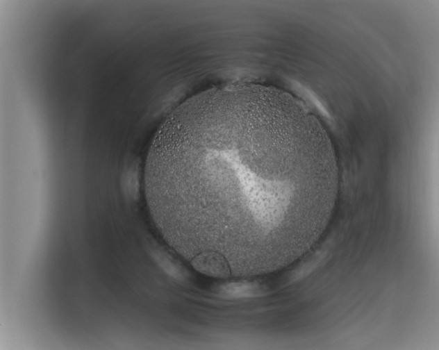 X0000115740065200911191453