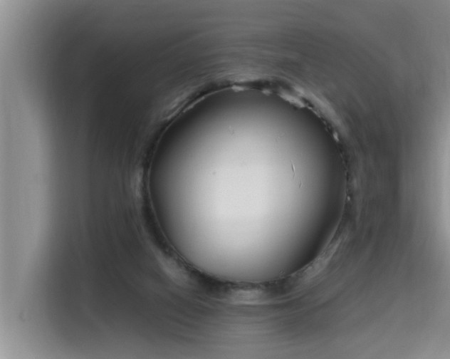 X0000115740066200911191453