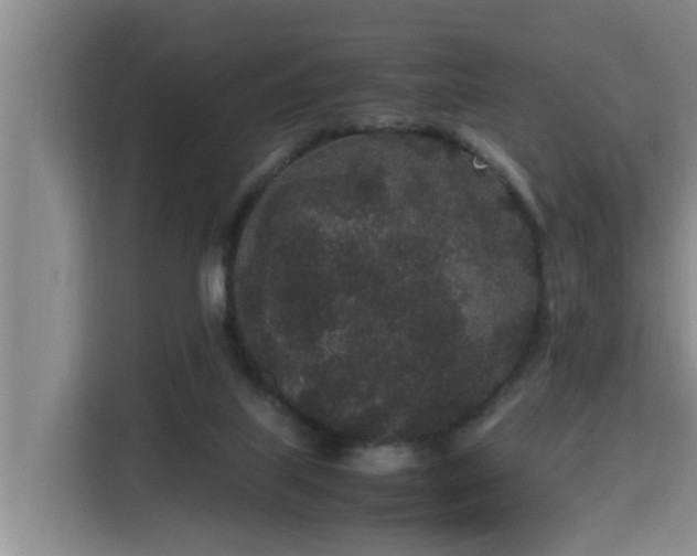 X0000115740067200911191453