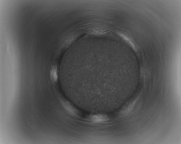 X0000115740069200911191453