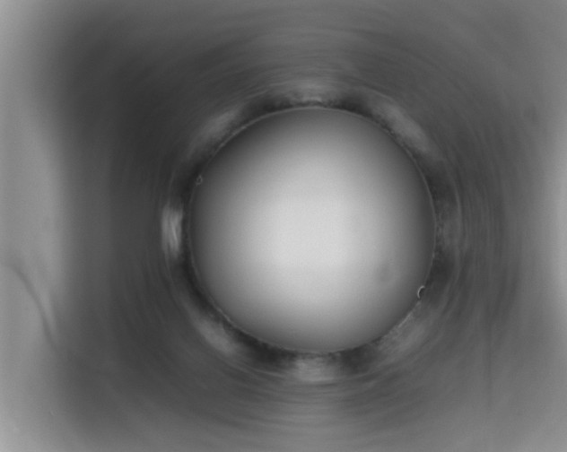 X0000115740070200911191453