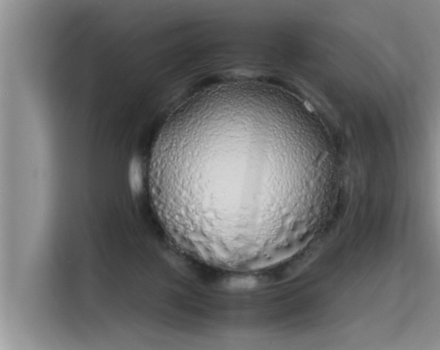 X0000115740075200911191453