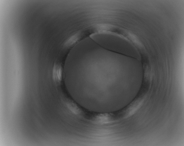 X0000115740076200911191453