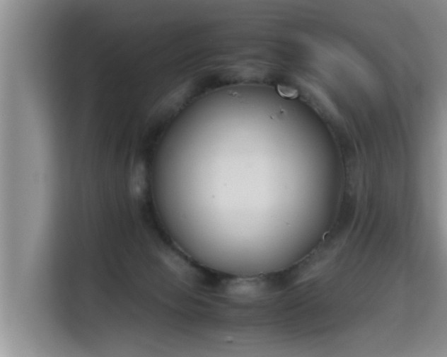 X0000115740077200911191453