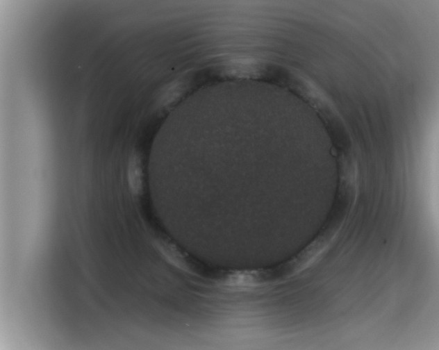 X0000115740080200911191454