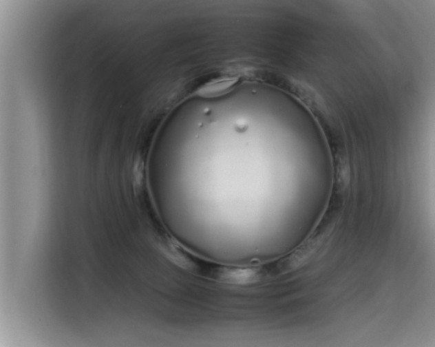 X0000115740081200911191454