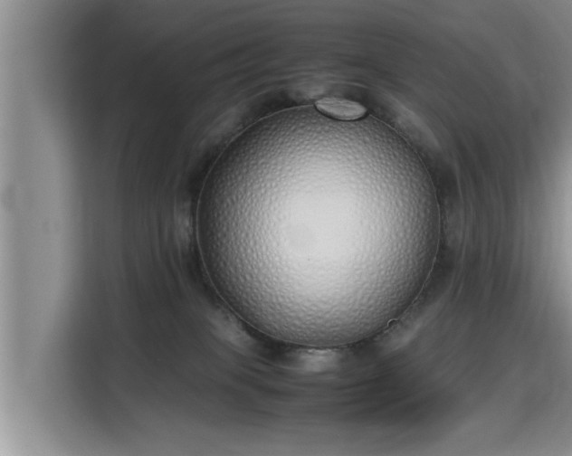 X0000115740085200911191454