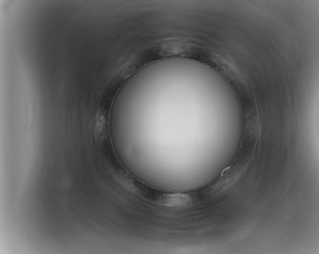 X0000115740087200911191454