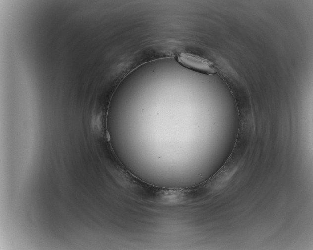 X0000115740088200911191454