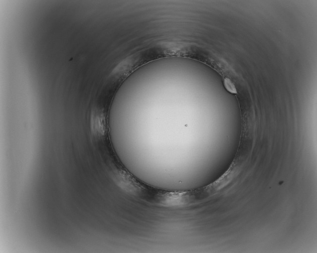 X0000115740090200911191454