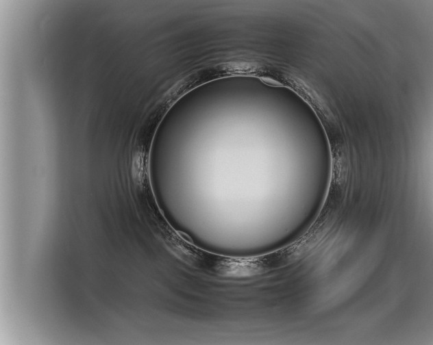 X0000115740093200911191454