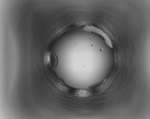 X0000115740095200911191454