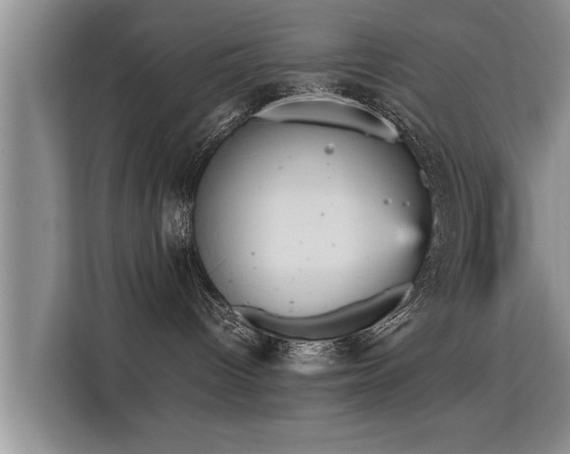 X0000115740096200911191454